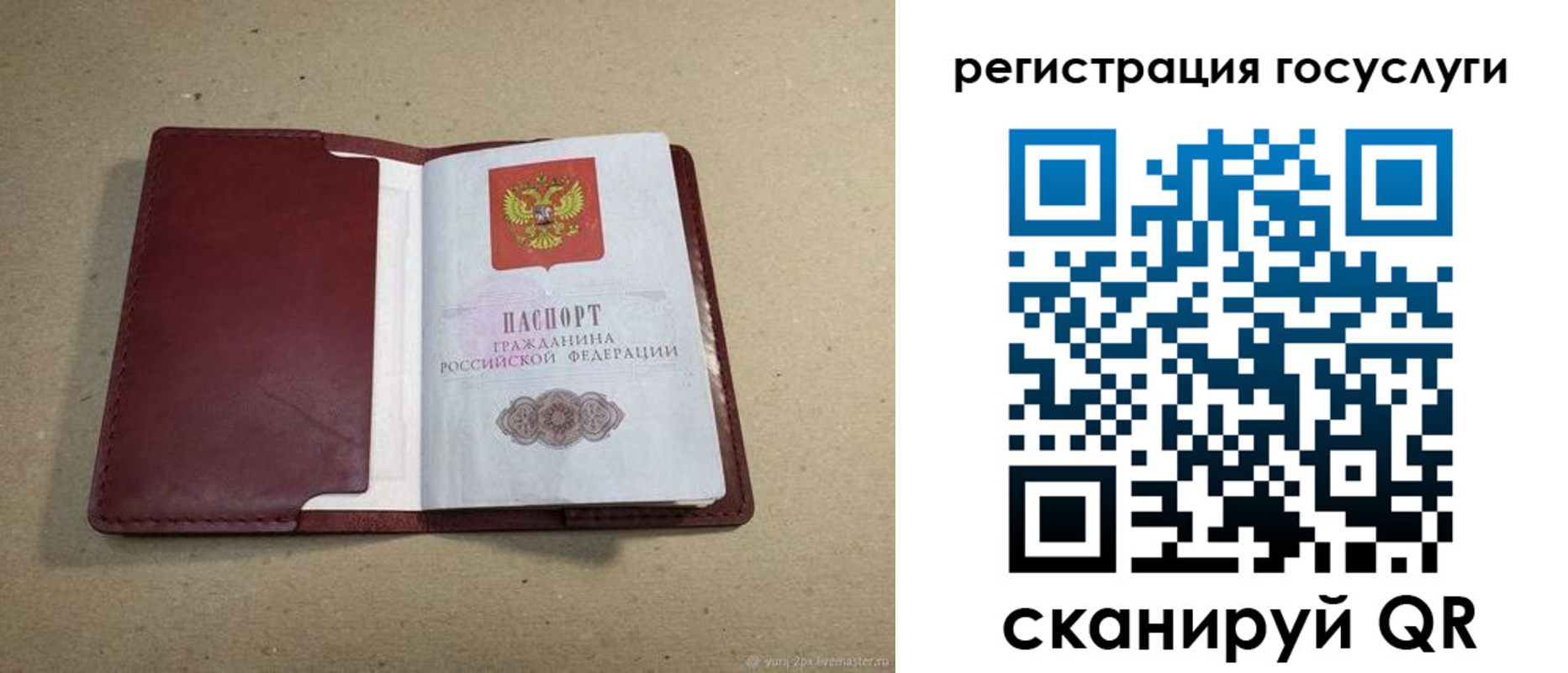 временная регистрация 2025 в Курской области